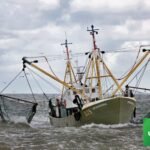 Beam trawler with bottom-contact fishing gear at sea — the kind of gear banned in Flensburg Fjord