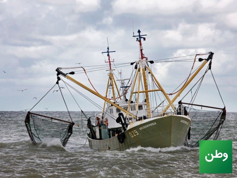 Beam trawler with bottom-contact fishing gear at sea — the kind of gear banned in Flensburg Fjord
