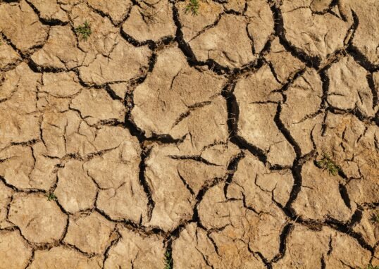 Cracked dry earth illustrating drought and climate extremes