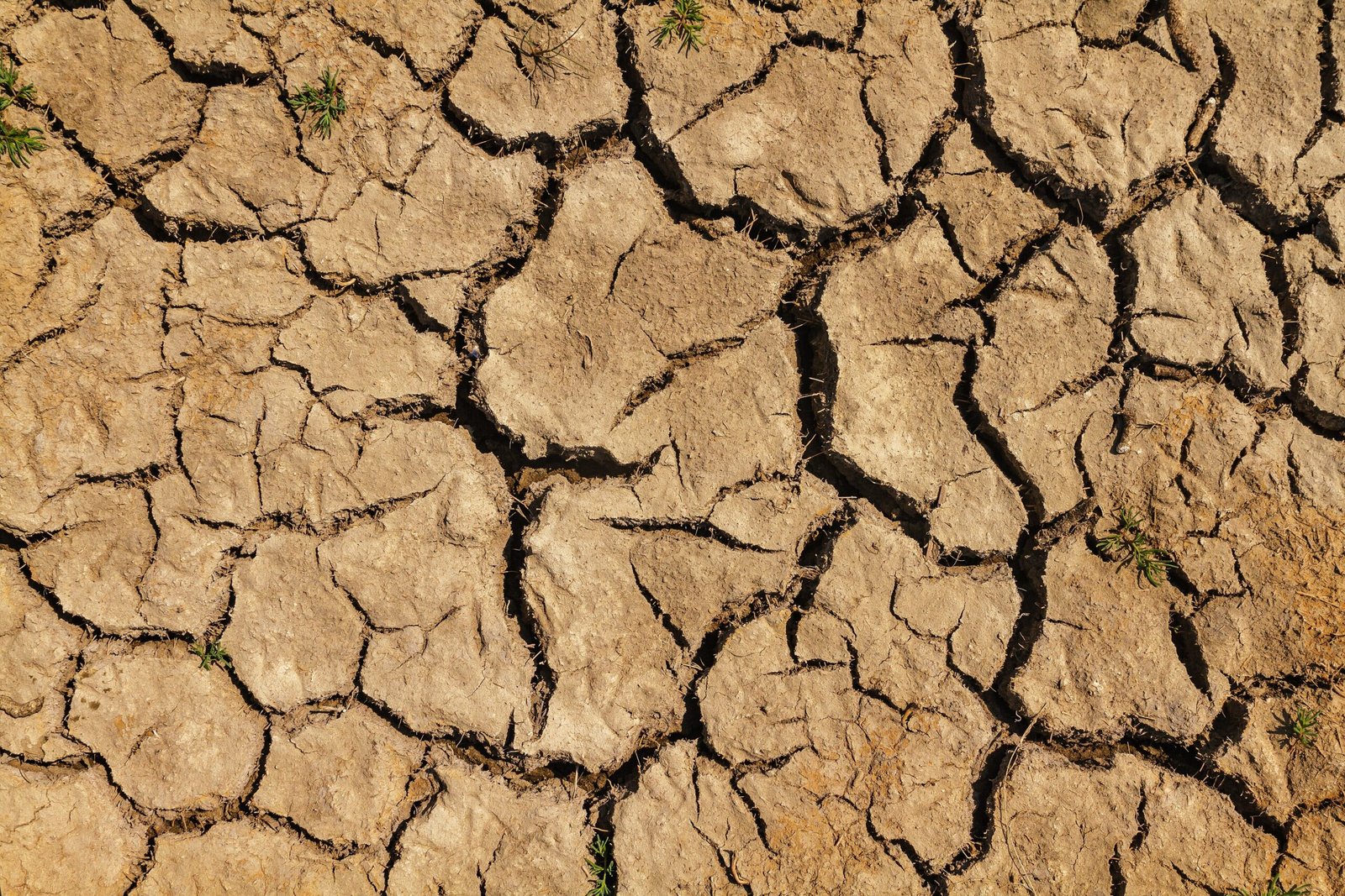 Cracked dry earth illustrating drought and climate extremes
