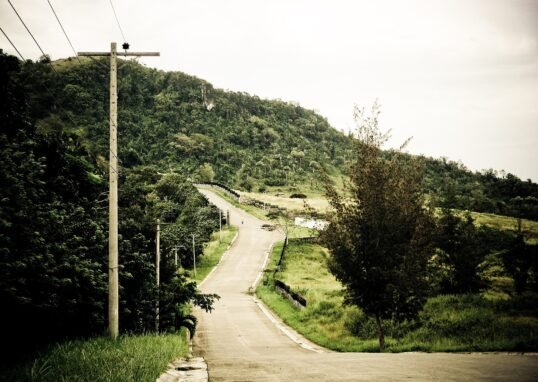 Forest landscape at Kan-irag Nature Park in Central Cebu