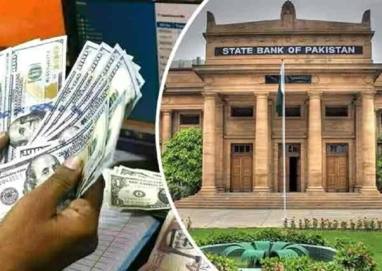 پاکستان کے زرمبادلہ کے ذخائر