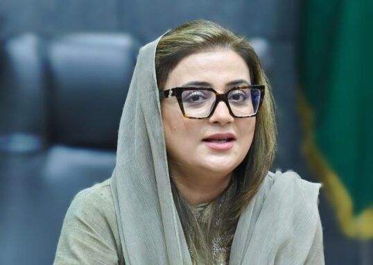 پنجاب کے شعبہ صحت