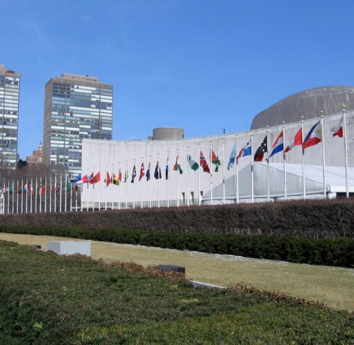 Rows of national flags flying outside the United Nations Headquarters in New York City