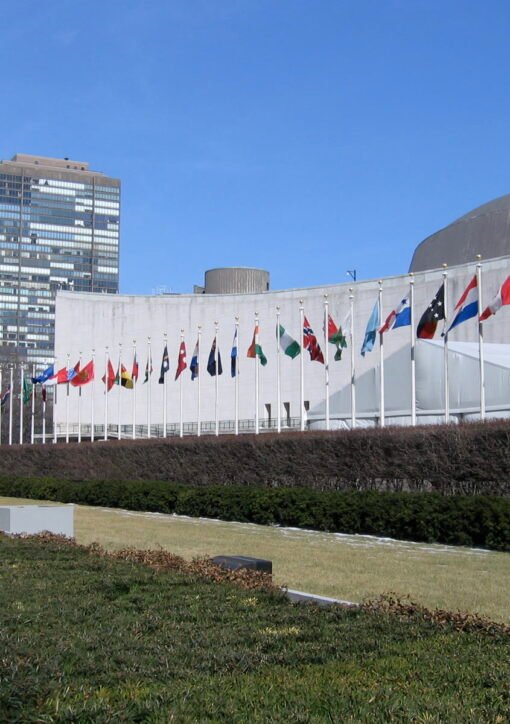 Rows of national flags flying outside the United Nations Headquarters in New York City