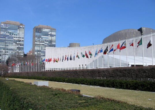 Rows of national flags flying outside the United Nations Headquarters in New York City