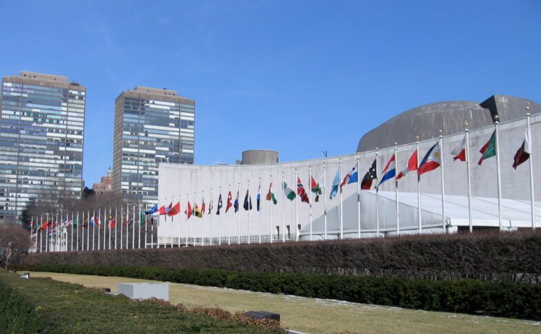 Rows of national flags flying outside the United Nations Headquarters in New York City