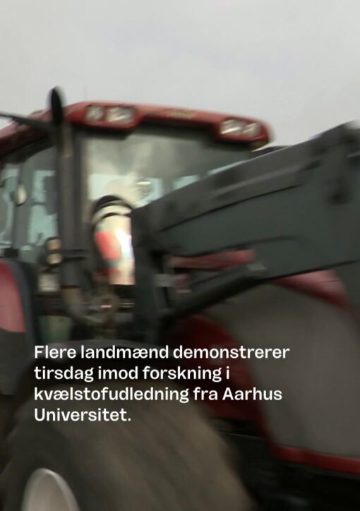 forsker snyd