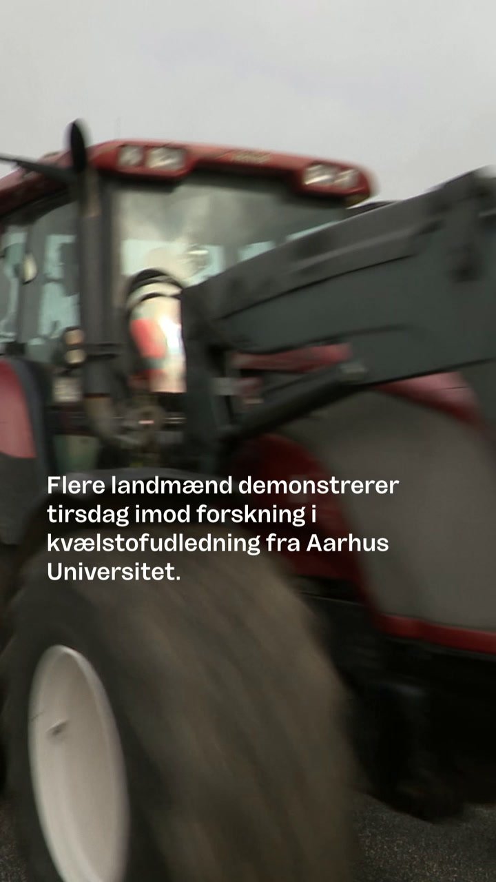forsker snyd