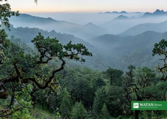 Kazdağları Mount Ida forest mountains in Türkiye at dawn
