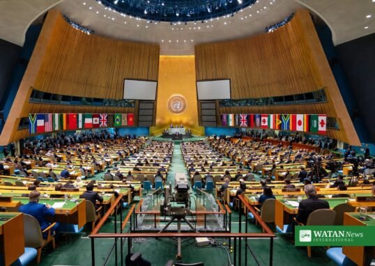 بھارت کا افغانستان میں دہشت گردی کی سرپرستی — اقوام متحدہ میں پاکستان کے ثبوت
