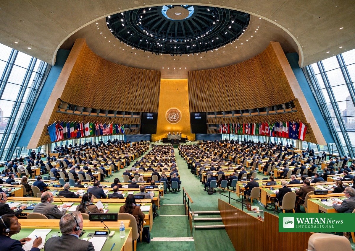 United Nations General Assembly hall in New York during a session, carbon credits