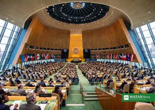 United Nations General Assembly hall in New York during a session, carbon credits