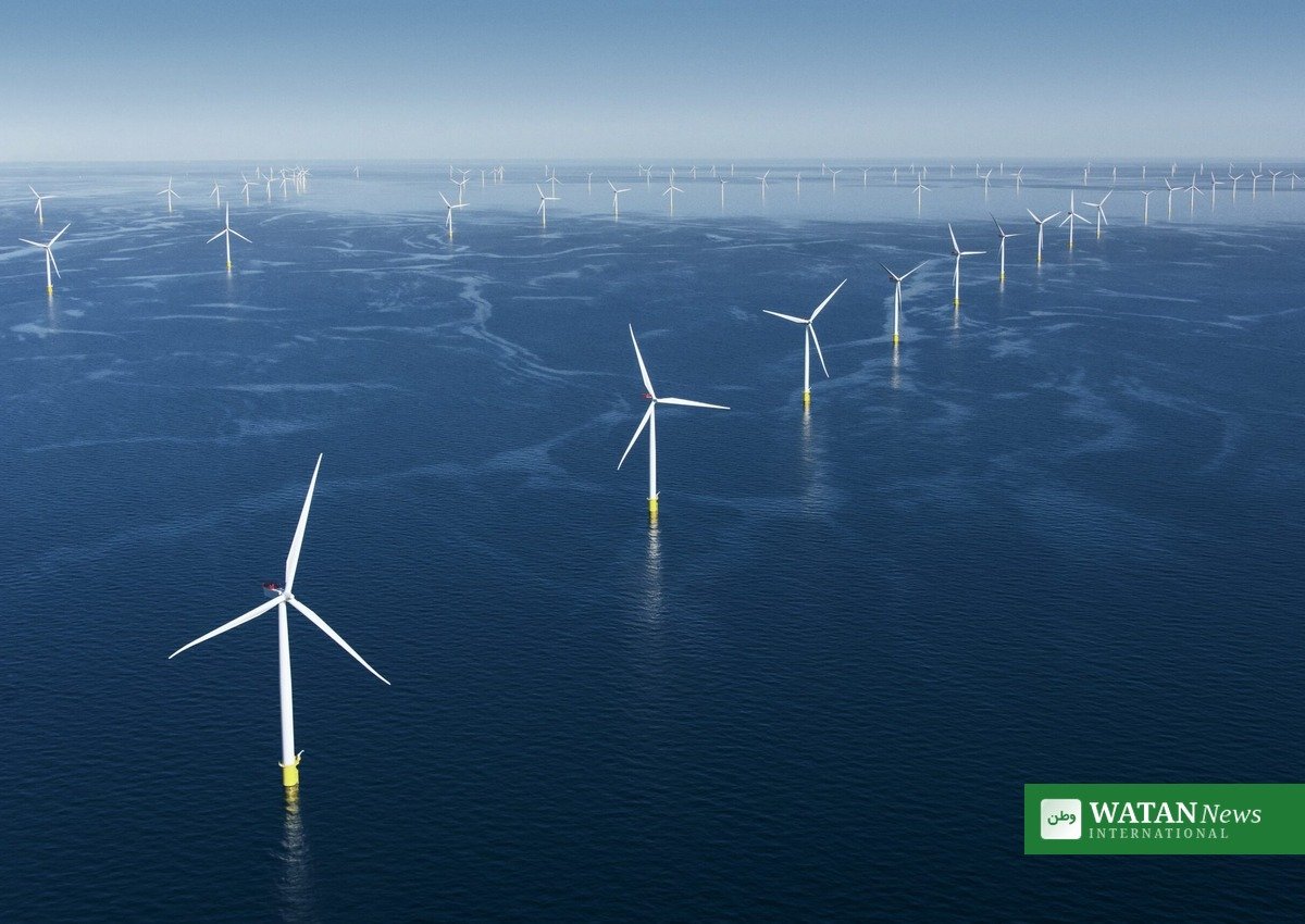 Elnet akutplan: Havvindmøller ud for den danske kyst leverer vedvarende energi til elnettet