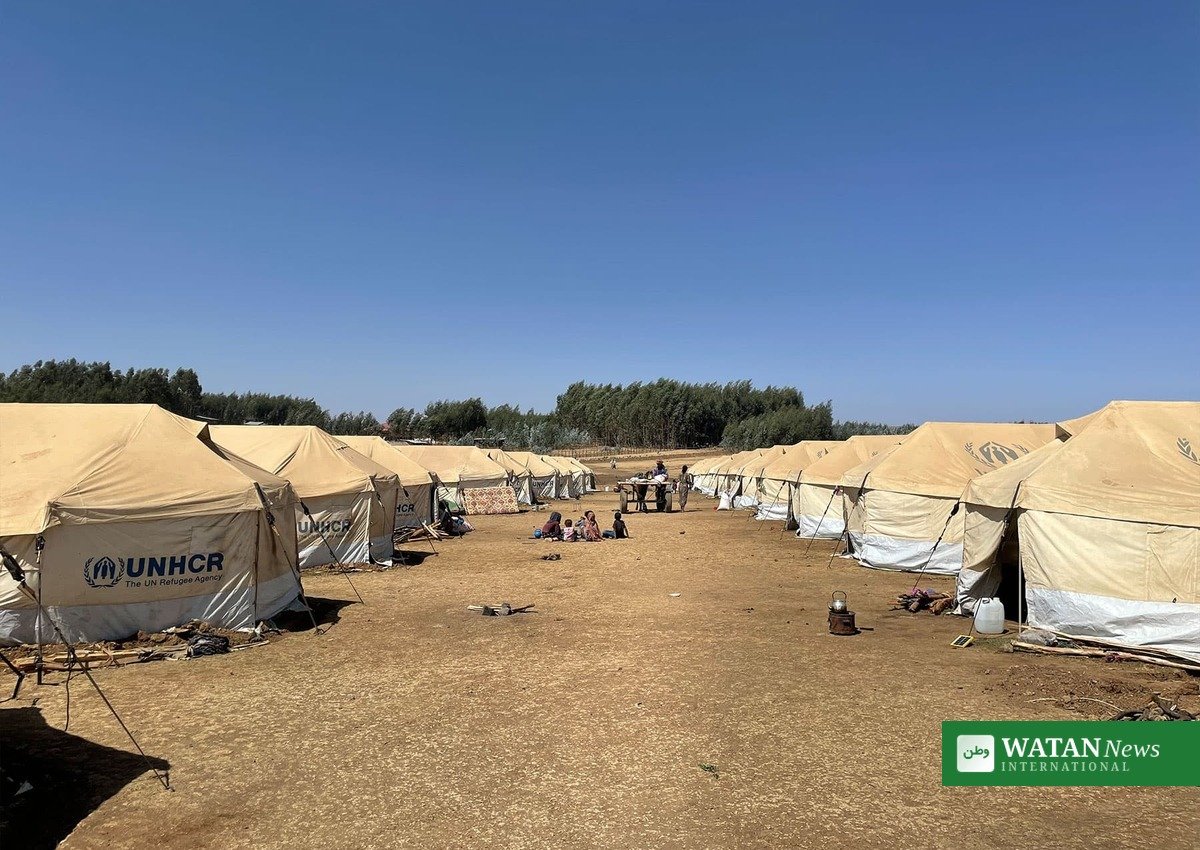 Rows of tents at a displacement camp in Ethiopia