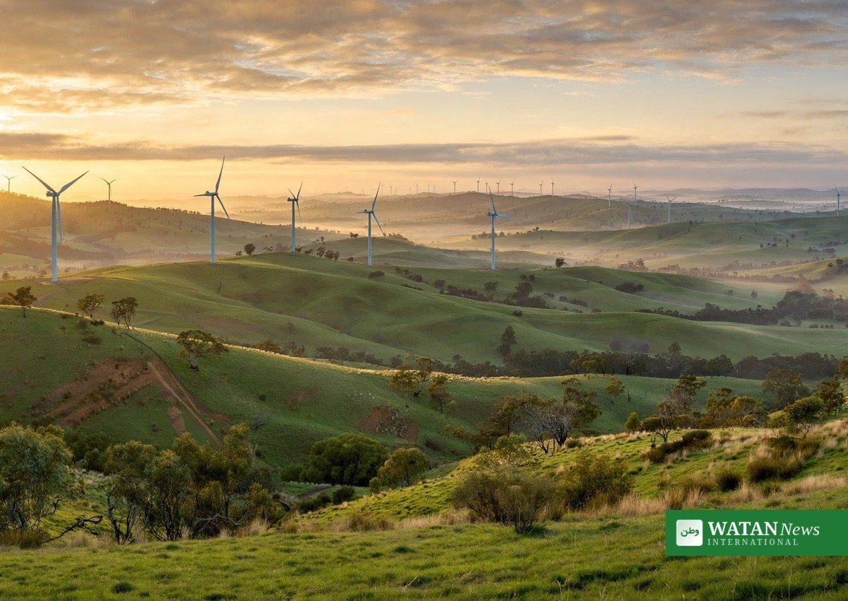 Vindmøller på grønne australske bakker ved solopgang — klimahandling og vedvarende energi