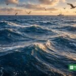 ہائی سیز پر جہاز سے رپورٹنگ کرتا صحافی — بی بی این جے کاپ1 صحافتی فیلوشپ