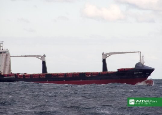 Khoryv cargo ship sinking: container ship on the Black Sea near Constanta