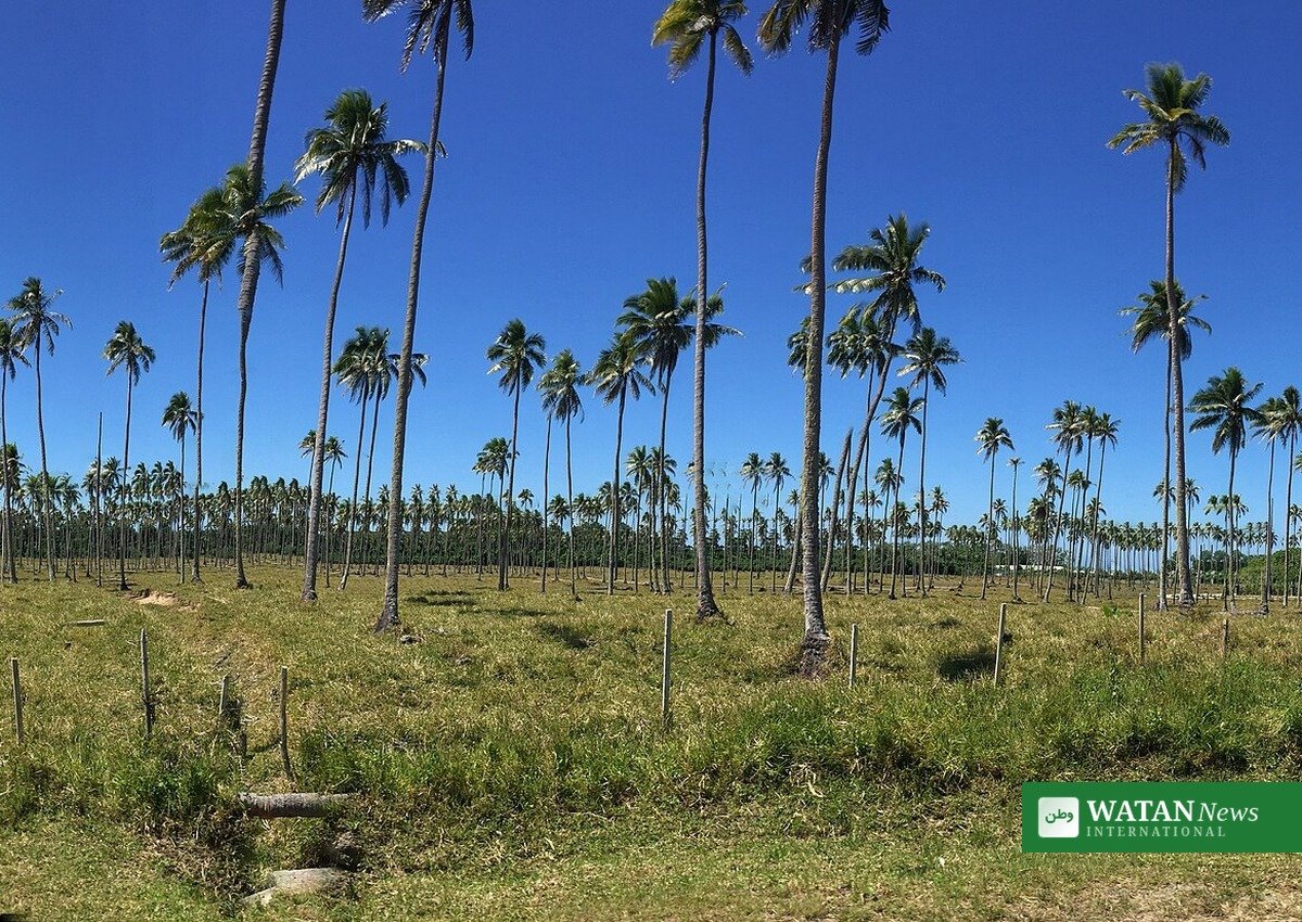 Vanuatu earthquake magnitude 7.2