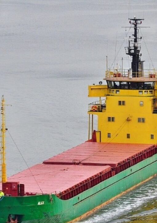 Bulgaria Black Sea drone attack: the cargo ship Alfa Watan in the Black Sea