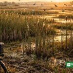 Basque environmental communication award 2026 — Bizi Natura wildlife camera in the Urdaibai Biosphere Reserve at dawn