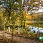 Delaware 75,000 trees milestone — newly planted native saplings with protective shelters along a pond-side trail in a Delaware state park
