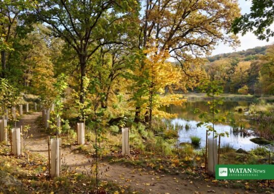 Delaware 75,000 trees milestone — newly planted native saplings with protective shelters along a pond-side trail in a Delaware state park