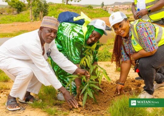 Frivillige planter et træ i Nigeria som led i CITAD's kampagne for skovrejsning i Nigeria