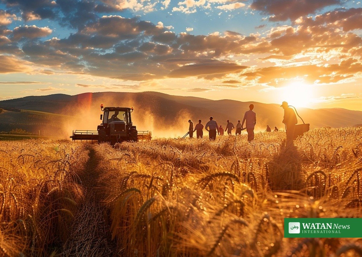 Global food prices hit nearly four-year high in September, UN food agency says — featured image