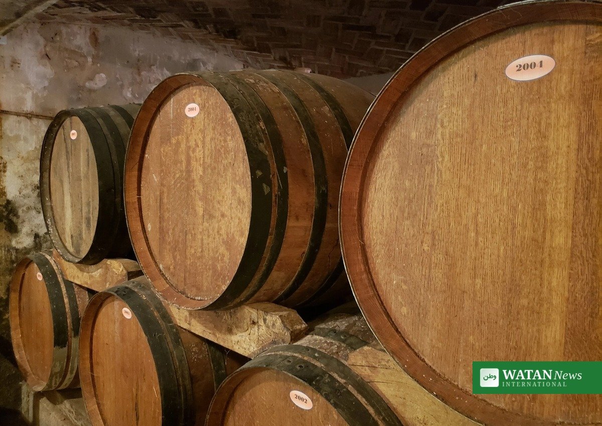 Oak barrels in a cognac cellar during LVMH Journees Particulieres 2026