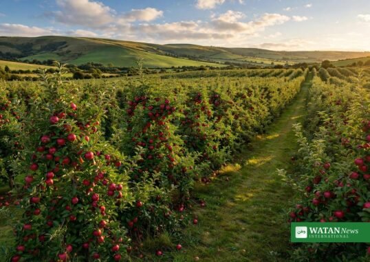Worldwide Fruit named Climate Champion of the Year at the 2026 FPC Fresh Awards
