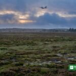 Passagerfly over heden ved Borris Skydeterræn i aftenskumring – illustration til historien om Forsvarets erkendelse af fejl i tidslinjen