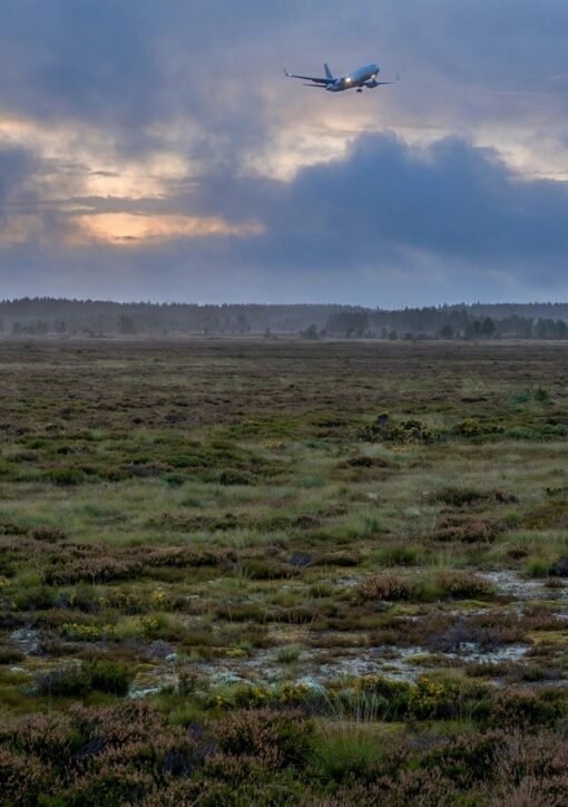 Passagerfly over heden ved Borris Skydeterræn i aftenskumring – illustration til historien om Forsvarets erkendelse af fejl i tidslinjen