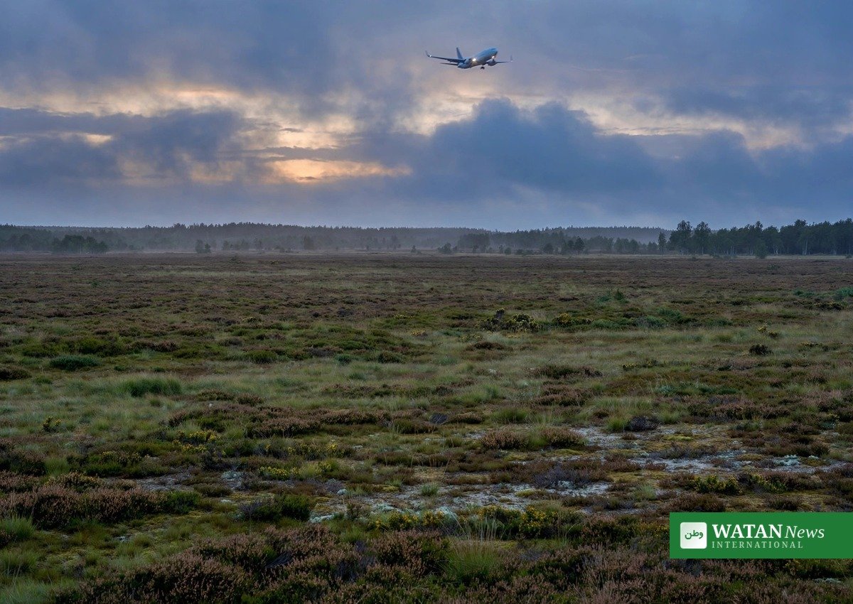 Passagerfly over heden ved Borris Skydeterræn i aftenskumring – illustration til historien om Forsvarets erkendelse af fejl i tidslinjen