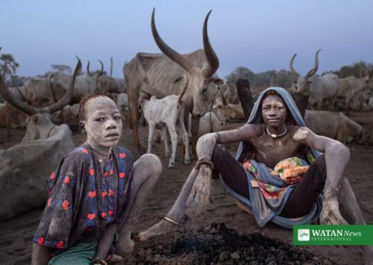 South Sudan cattle camp herders with long-horned cattle in Warrap State