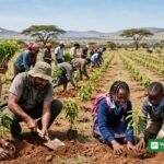 Kenya tree planting drive during National Mazingira Week 2026