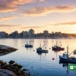 Solopgang over Halifax havn med fiskerbåde og skyline - Canadas Ocean Envoy Diana Fox Carney skal lede Our Ocean Conference 2027