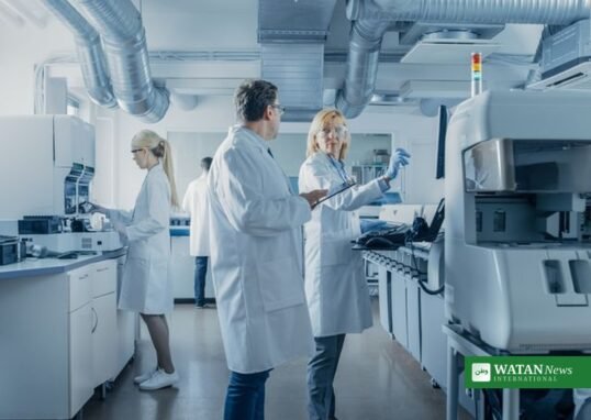 NSF Seed Fund
