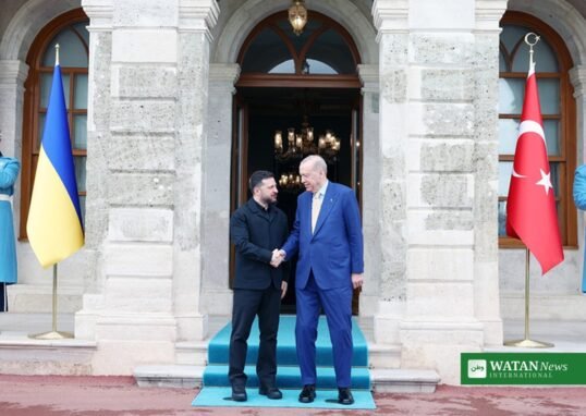 Zelensky and Erdogan shake hands at the Dolmabahce office in Istanbul