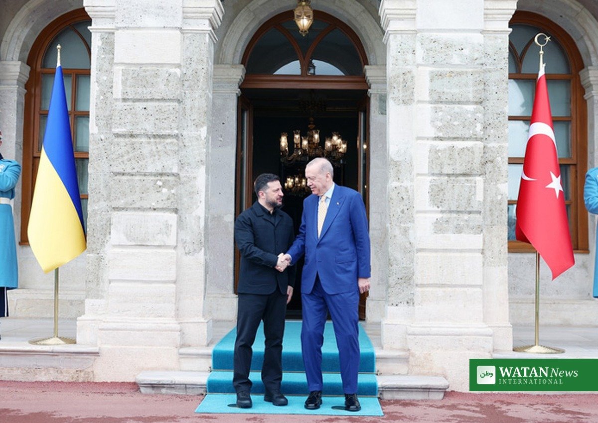 Zelensky and Erdogan shake hands at the Dolmabahce office in Istanbul