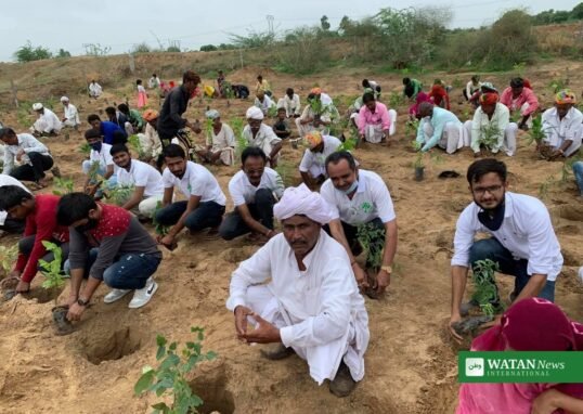 شجر کاری مہم