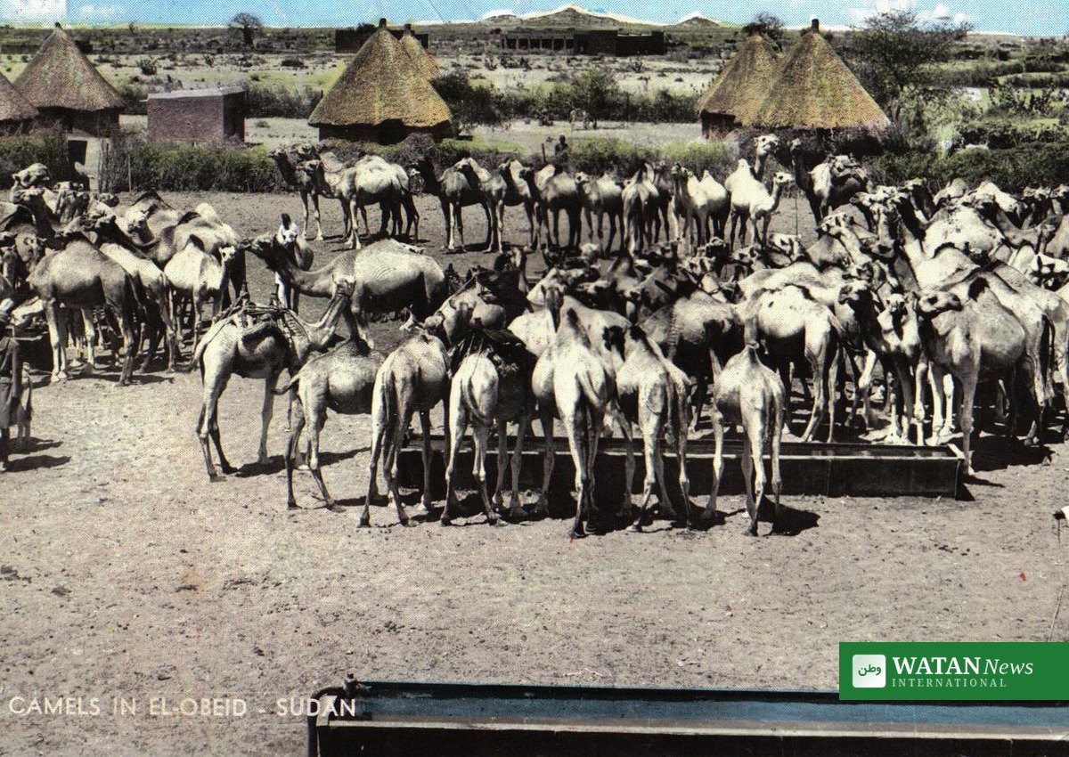 El-Obeid Sudan