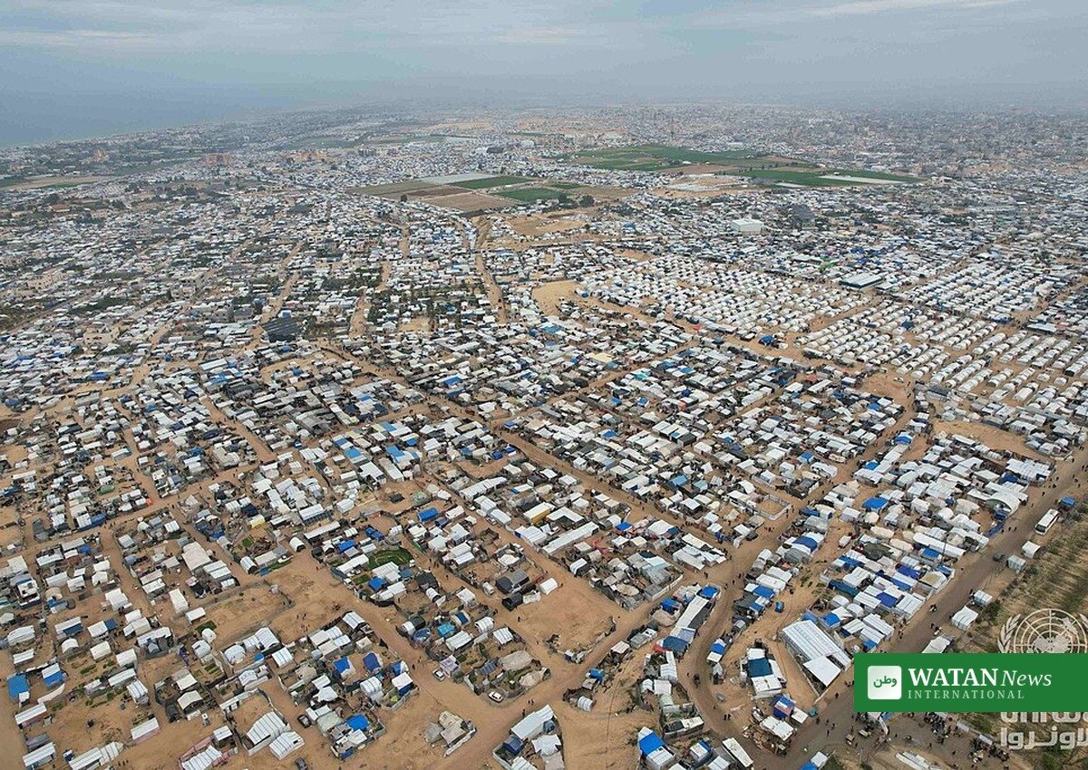 Teltsby Al-Mawasi Gaza fordrevne familier