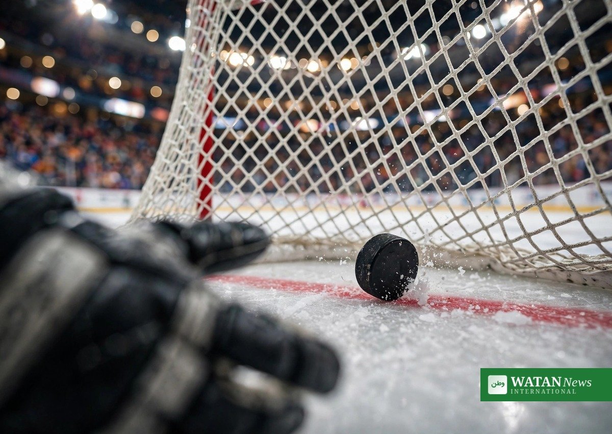 Ishockey-puck krydser mållinjen – Anaheim Ducks mod Florida Panthers i NHL