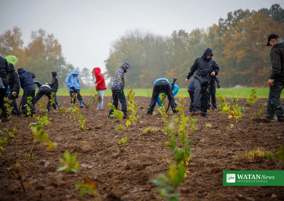 Gadstrup Skov: frivillige planter træer ved dansk skovrejsning