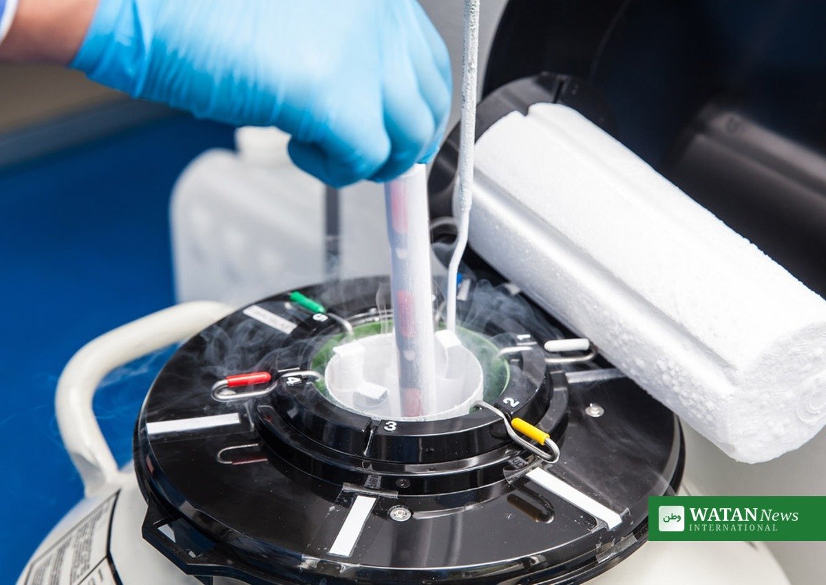 Laboratory technician handling cryogenic vials in a donor sperm bank facility