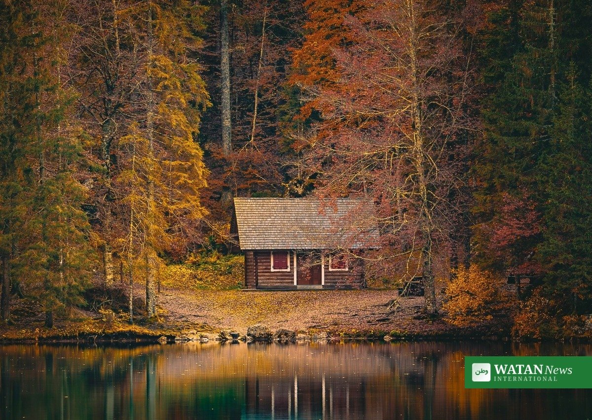 Soft travel — a quiet lakeside cabin in autumn, the ideal slow-journey escape