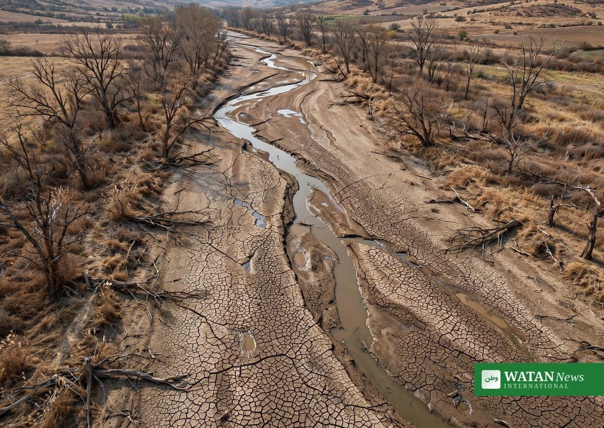 Dried-up European riverbed with cracked earth during the severe summer 2026 drought