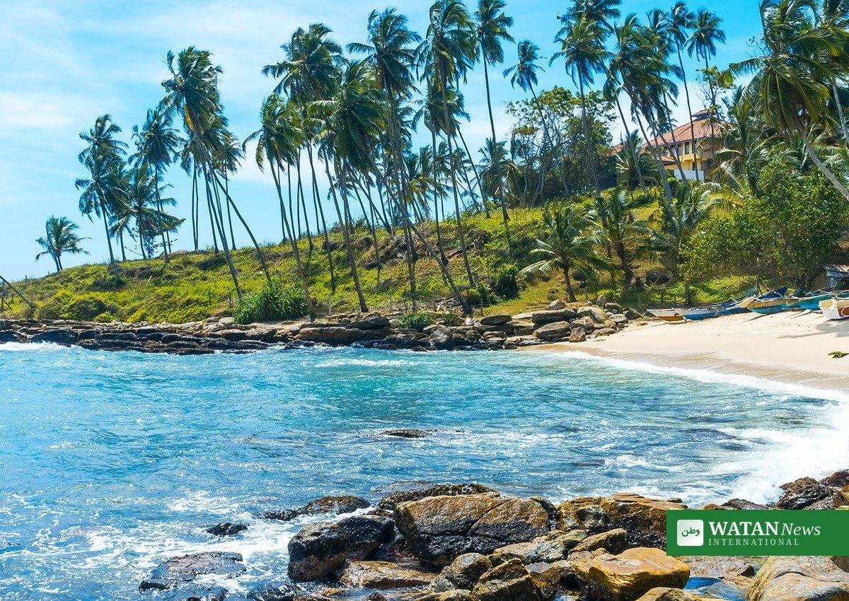 Palm-fringed beach in Sri Lanka — new British Airways Sri Lanka flights open winter-season travel