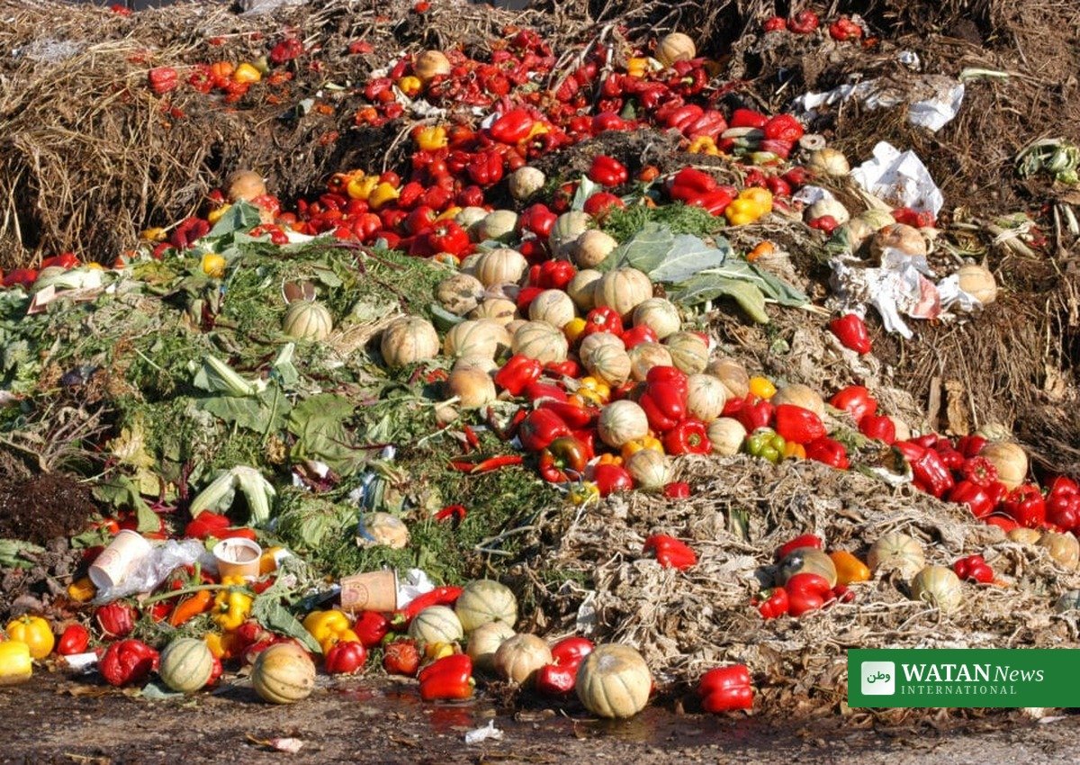 ضائع شدہ خوراک کا ڈھیر جو پائیدار طرزِ زندگی کے خلاف ہے